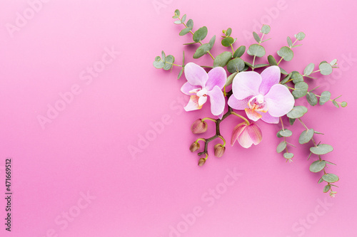 Pink spa orchid theme objects on pastel background.