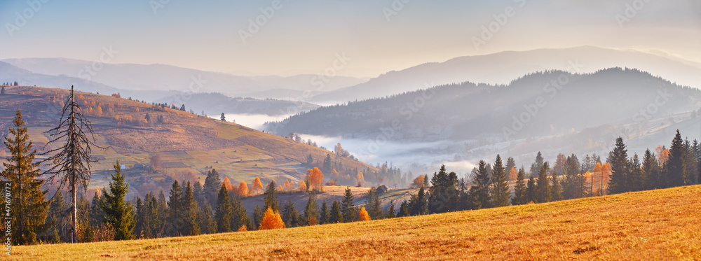 Mountain morning autumn panorama. Colorful fall landscape, foggy sunrise in Carpathians.