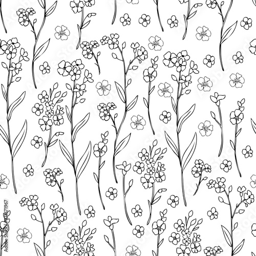 Seamless pattern Forget-me-not flowers vector illustration isolated on white background, colorful ink sketch, decorative herbal doodle, line art for design medicine, wedding invite, floral cosmetics