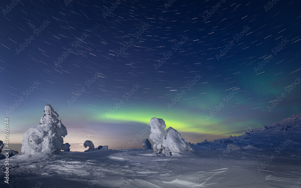 landscape with northern lights and snow-covered tree.
