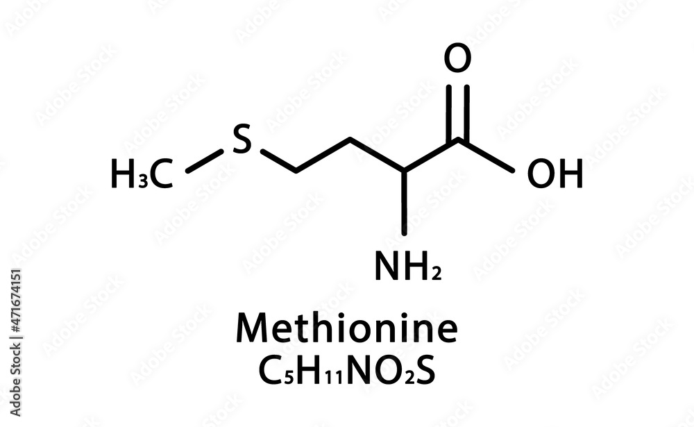 Methionine molecular structure. Methionine skeletal chemical formula. Chemical molecular formula vector illustration Methionine molecular structure. Methionine skeletal chemical formula. Chemical molecular formula vector illustration
