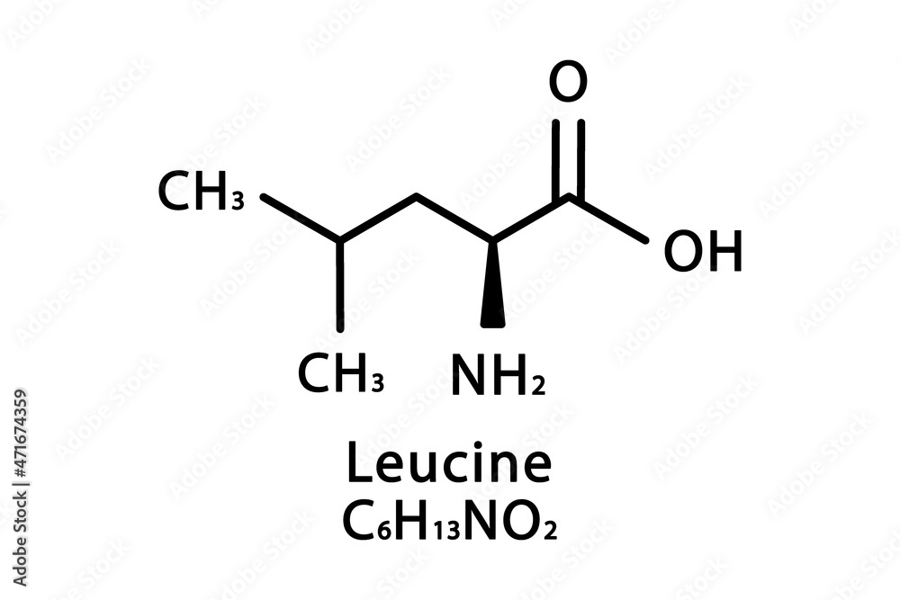 Leucine molecular structure. Leucine skeletal chemical formula. Chemical molecular formula