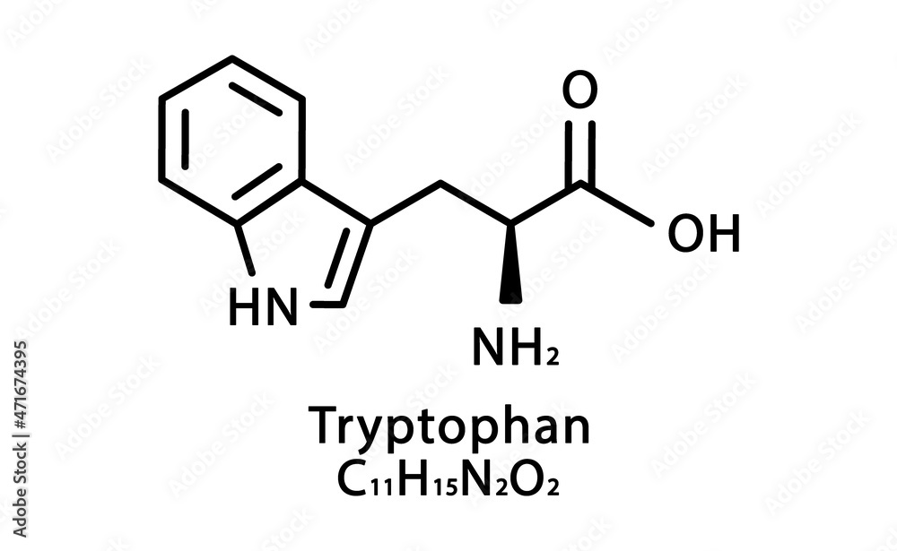 Tryptophan molecular structure. Tryptophan skeletal chemical formula. Chemical molecular formula vector illustration Tryptophan molecular structure. Tryptophan skeletal chemical formula. Chemical molecular formula vector illustration
