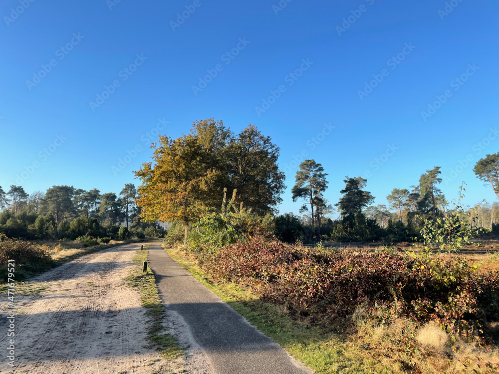 Fototapeta premium Bicycle path next to a sand path at the Lemelerberg