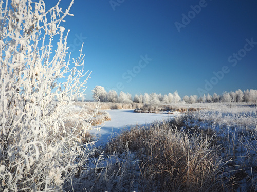 One winter frosty morning. Trees on the shore and the grass in hoarfrost. A small river bay was covered with ice. Winter. Russia, Ural, Perm region.