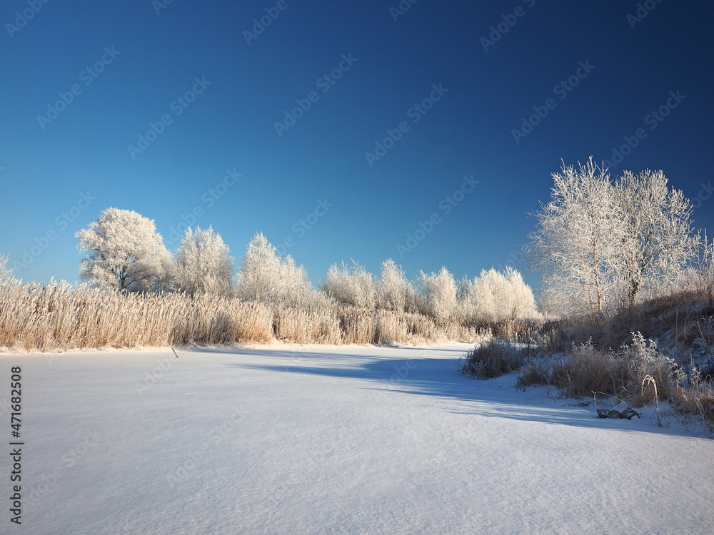 One winter frosty morning. Trees on the shore and the grass in hoarfrost. A small river bay was covered with ice. Winter. Russia, Ural, Perm region.