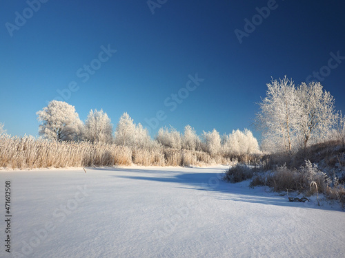 One winter frosty morning. Trees on the shore and the grass in hoarfrost. A small river bay was covered with ice. Winter. Russia, Ural, Perm region. © Max G K