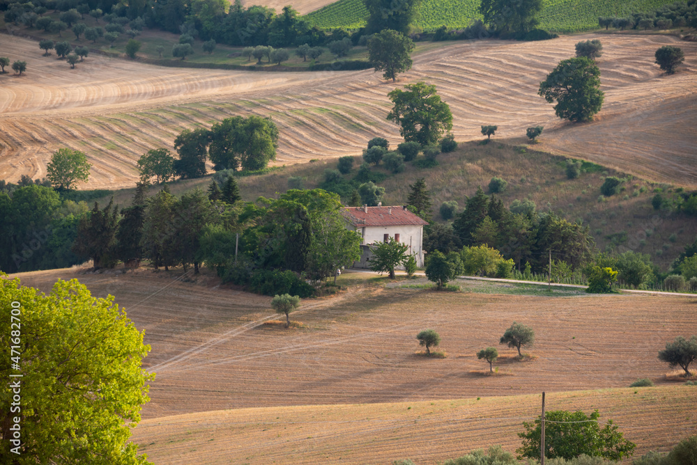 Rural landscape with farm fields and trees