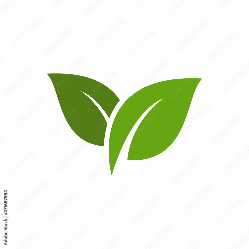 nature leaves vector icon