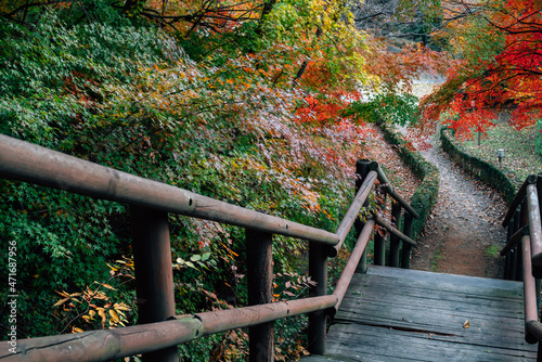 Wolmido island Wolmisan mountain trail at autumn in Incheon, Korea