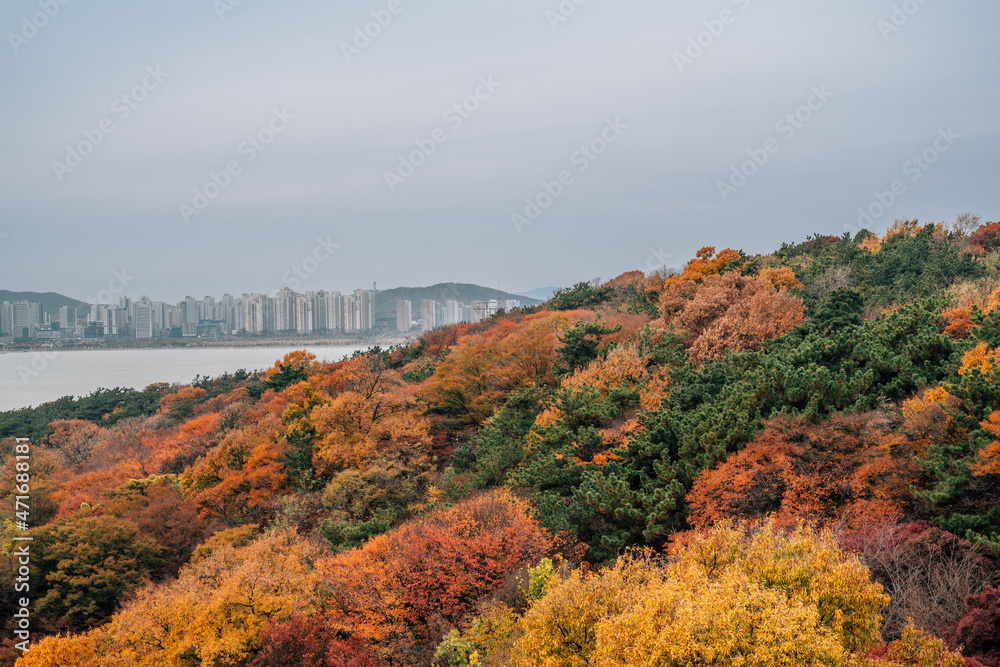 View of Wolmido island park and sea at autumn in Incheon, Korea