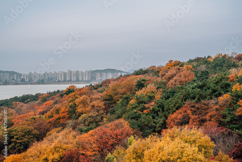 View of Wolmido island park and sea at autumn in Incheon, Korea photo