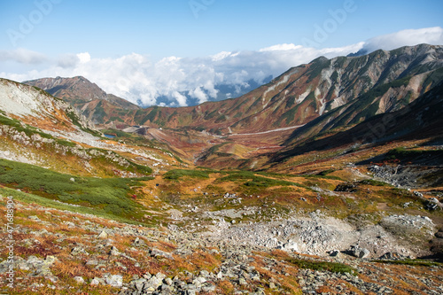 草紅葉に色付く立山室堂雷鳥沢の風景