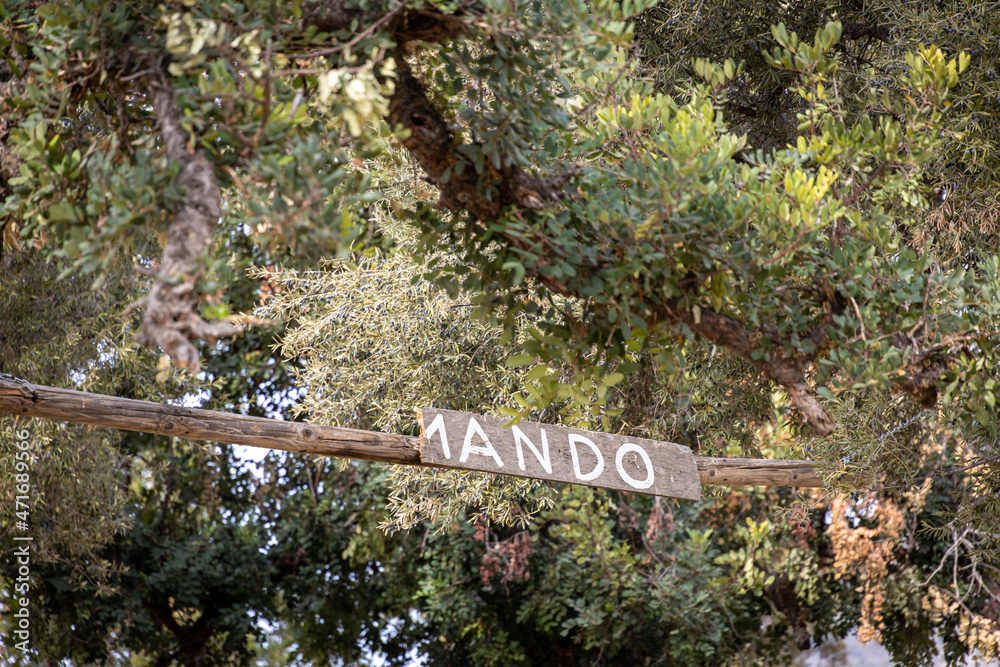 mando sign for disc golf players Stock Photo Adobe Stock