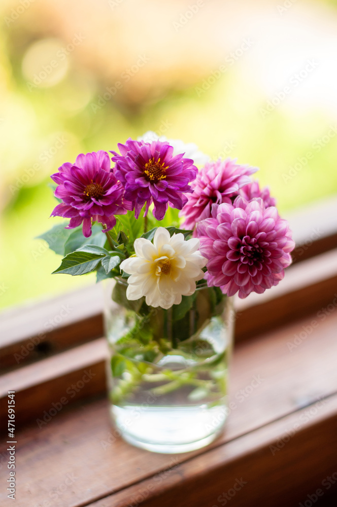 dahlia flowers stand in a jar of water on a window with a blurred background in a vertical format dahlia flowers stand in a jar of water on a window with a blurred background in a vertical format