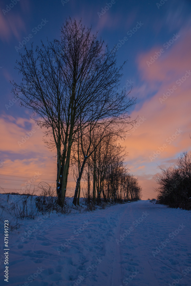 snowy evening road with tree lines