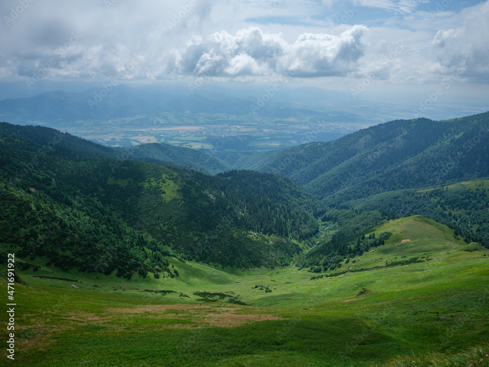 Fototapeta premium misty green mountain cores in summer covered with grass