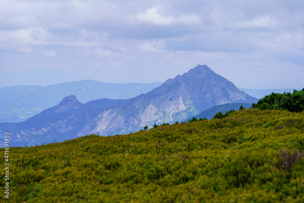 Fototapeta premium misty green mountain cores in summer covered with grass