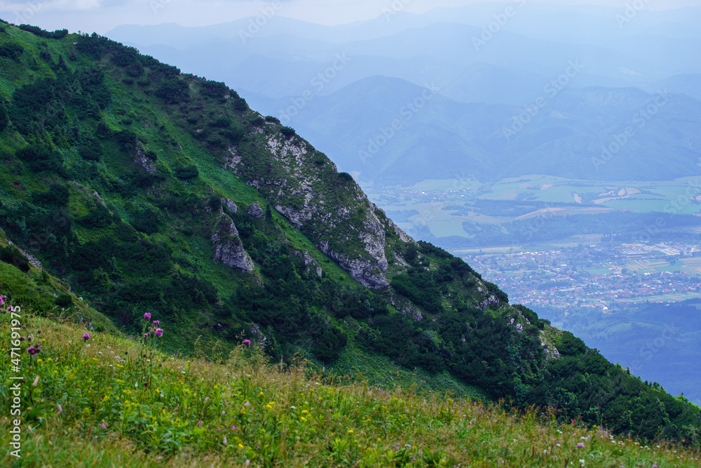 misty green mountain cores in summer covered with grass misty green mountain cores in summer covered with grass