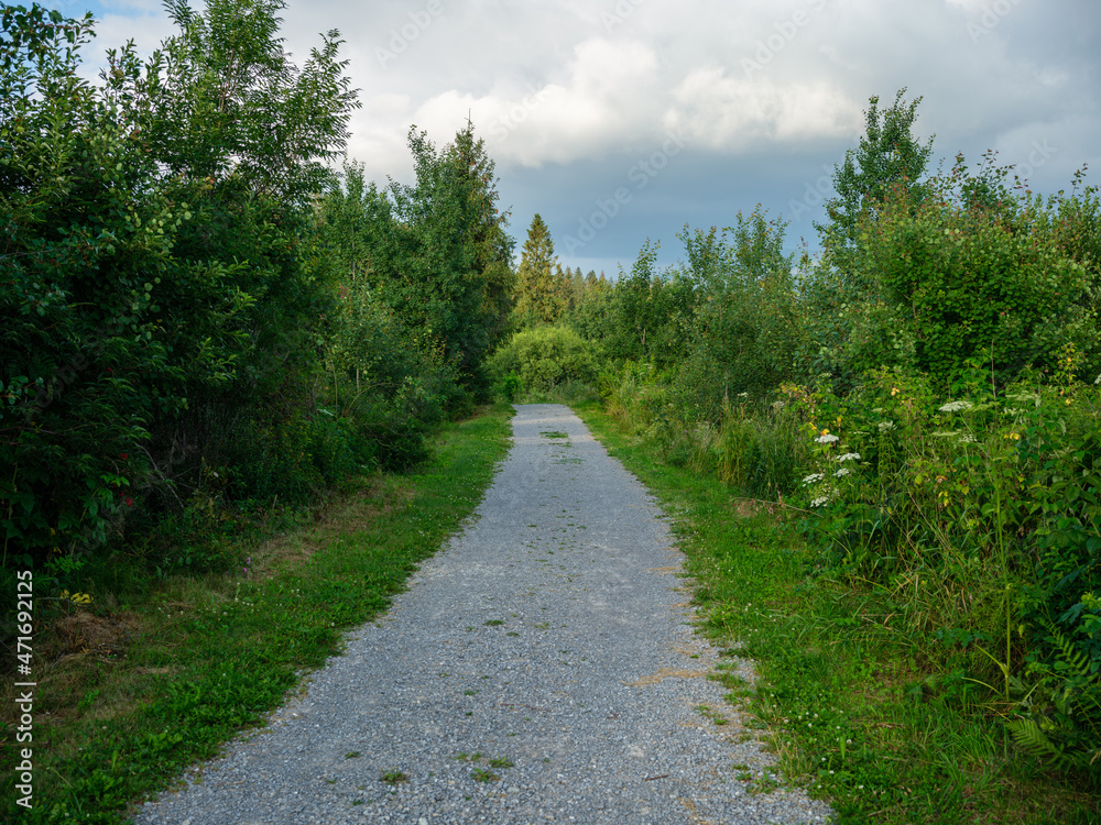 Fototapeta premium simple asphalt road in perspective