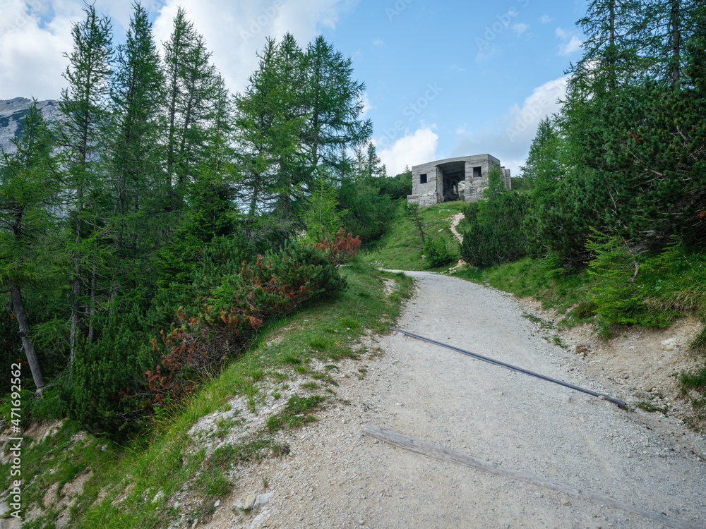 simple asphalt road in perspective