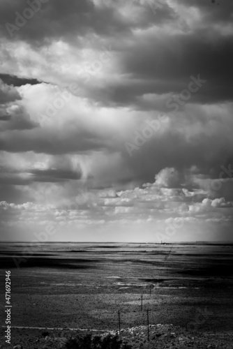 Arizona Landscape in black and white