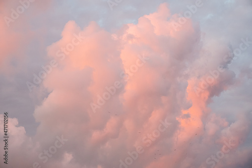Pink clouds against the blue sky. The sky at sunset over the sea. Day. Georgia. Sunny