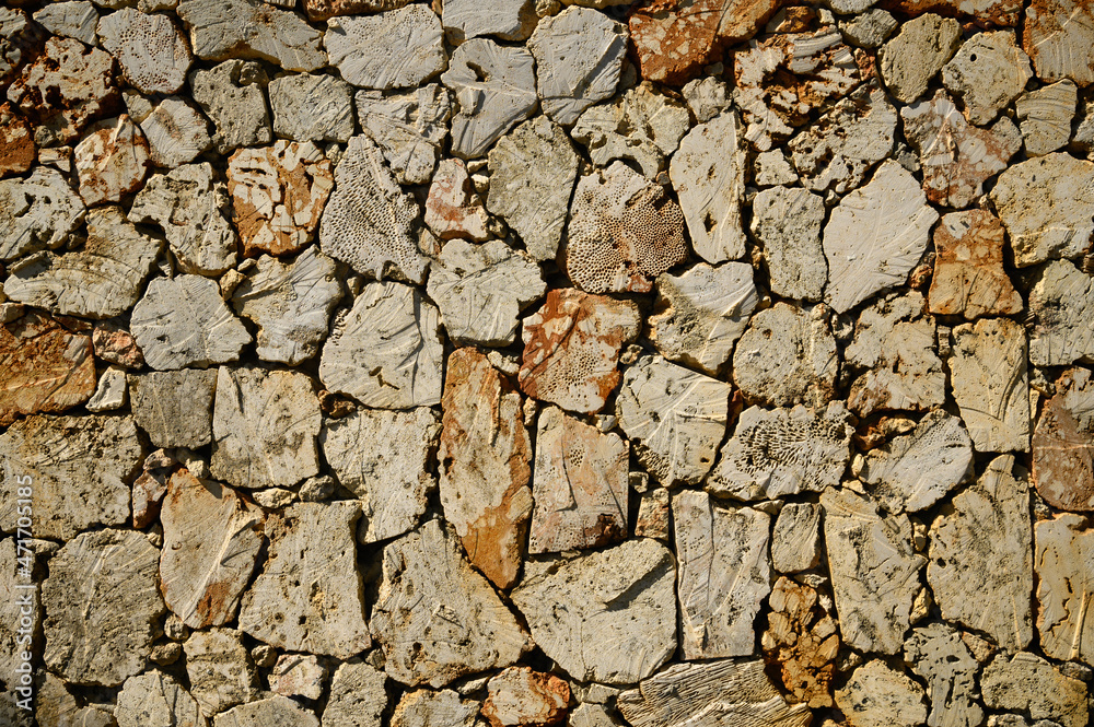 Fence from caliche background. Stone pattern. Fence from caliche background. Stone pattern.