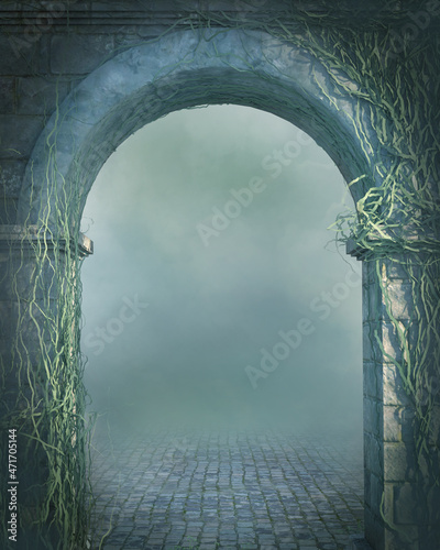 Ancient stone archway covered in vines Fototapeta