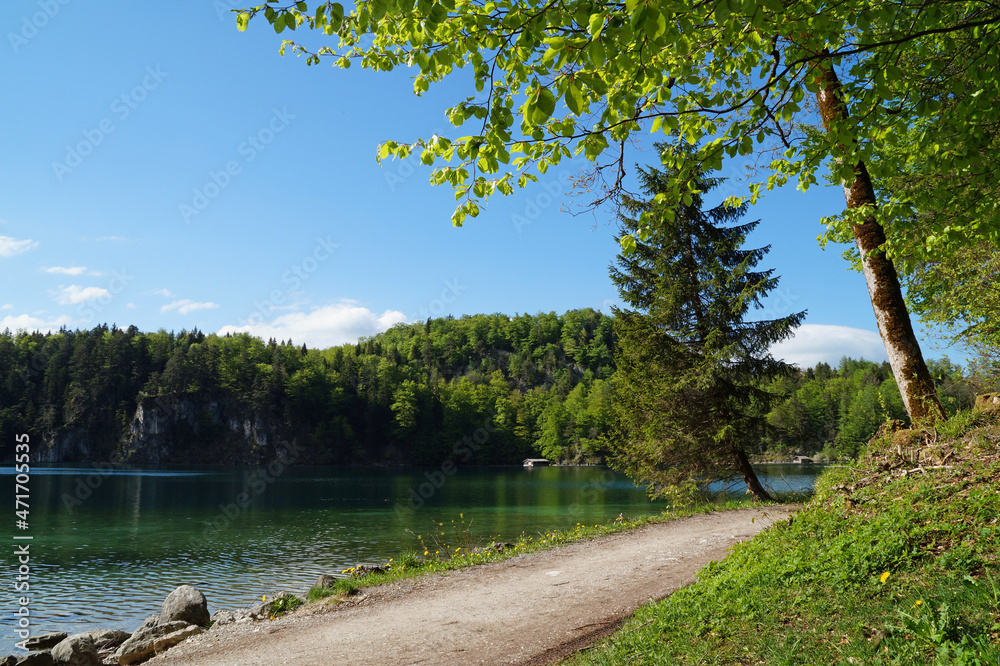 gorgeous emerald-green lake Alpsee in the German Alps in Hohenschwangau near castles Hohenschwangau and Neuschwanstein, Allgau, Bavaria, Germany gorgeous emerald-green lake Alpsee in the German Alps in Hohenschwangau near castles Hohenschwangau and Neuschwanstein, Allgau, Bavaria, Germany