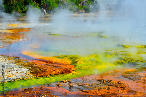 Colorful Grand Prismatic Spring at Yellowstone National Park