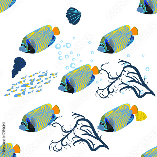 Emperor angelfish Pomacanthus imperator, sea animal wildlife character. Nature underwater, marine wild ocean zoo fish. animals bright seamless patterns.