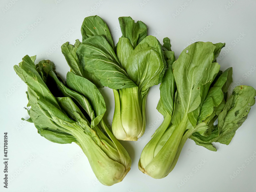Brassica rapa chinensis or chinese cabbage or pakcoy or bok choy. Isolated on white background. Brassica rapa chinensis or chinese cabbage or pakcoy or bok choy. Isolated on white background.
