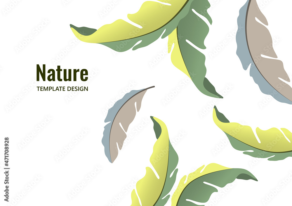 Colorful decorative oak leaves on a white background, falling foliage. Creative template for your design. Vector