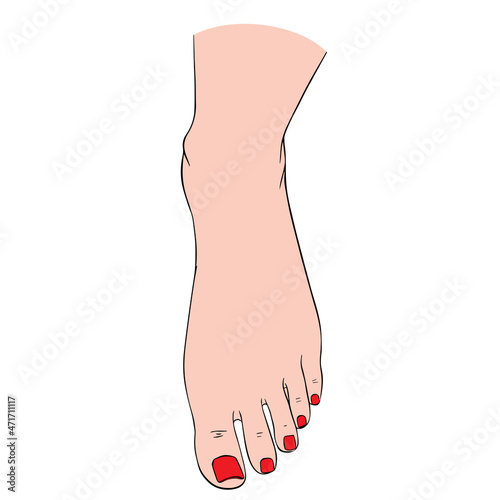 Beautiful female feet barefoot sketch. Black-and-white outline sketch. A design element for spa, manicure or cosmetics.