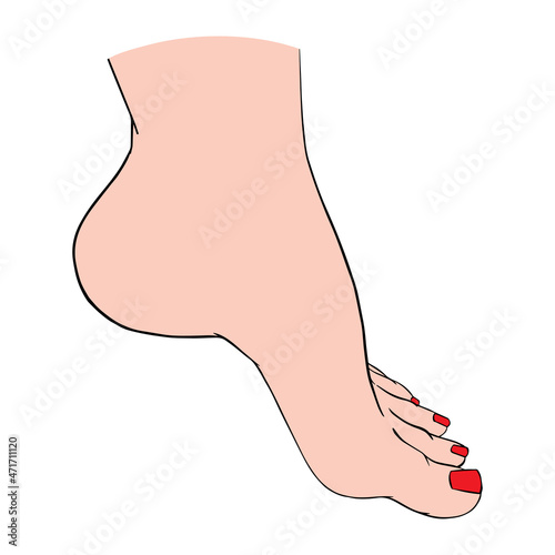 Beautiful female feet barefoot sketch. Black-and-white outline sketch. A design element for spa, manicure or cosmetics.