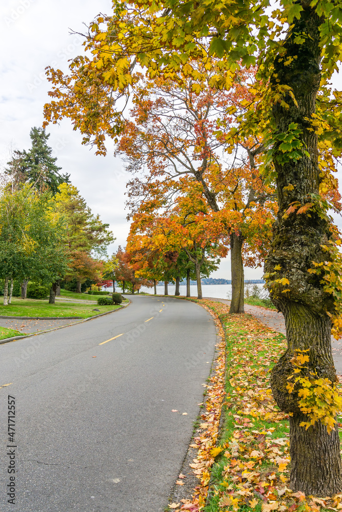 Colorful Autumn Lakeside Trees 5