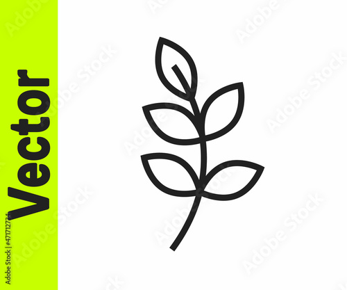 Black line Willow leaf icon isolated on white background. Vector