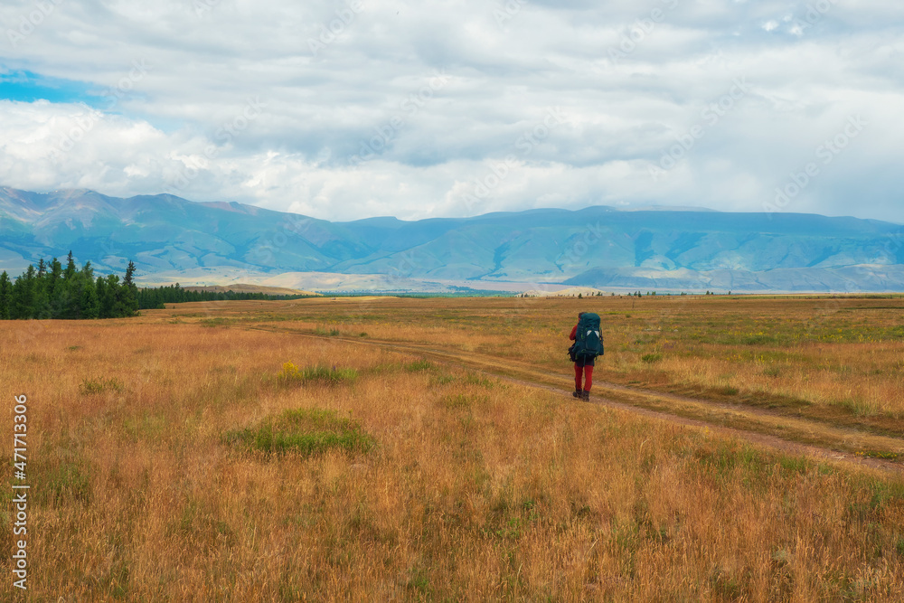 Solo hiking in the picturesque autumn mountain valley. Heavy climb in the mountains with a big backpack. Travel lifestyle, hiking hard track, adventure concept in autumn vacation.