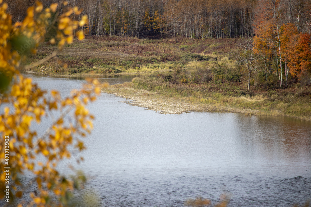 Fall Shots Fall Shots