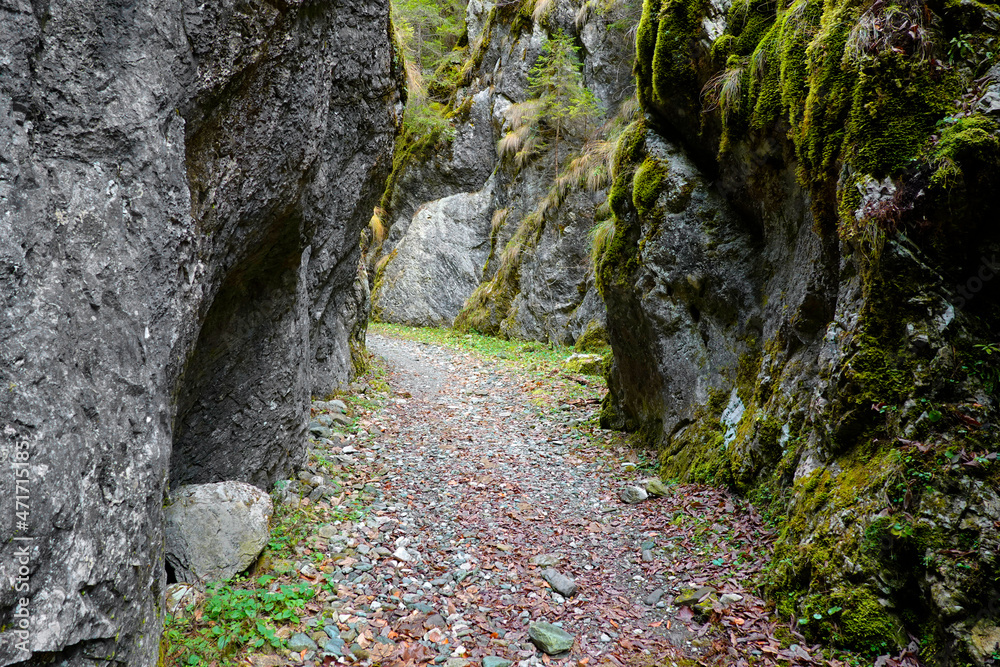 Scorota Gorges in the Carpathians, Romania, Europe 