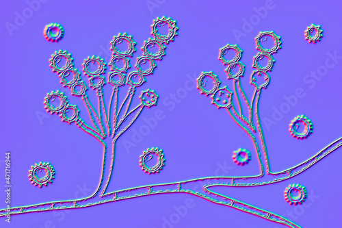 Microscopic fungi Scopulariopsis brevicaulis, illustration photo