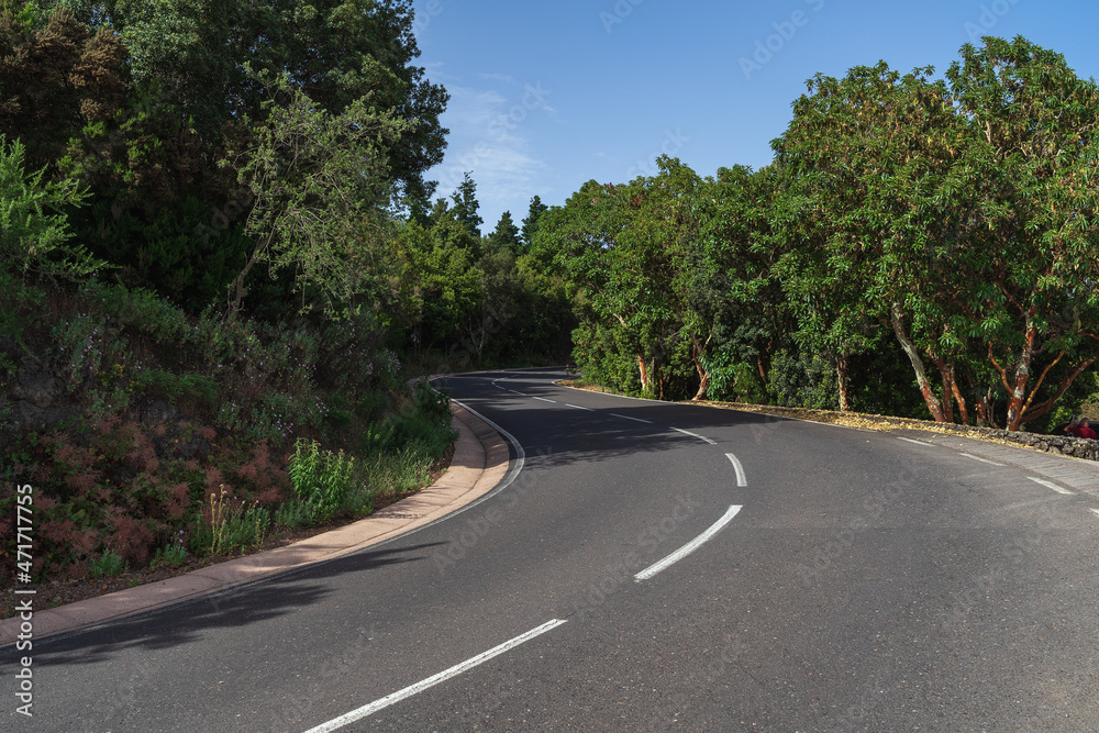 Naklejka premium A twisted asphalt road leading into the distance.
