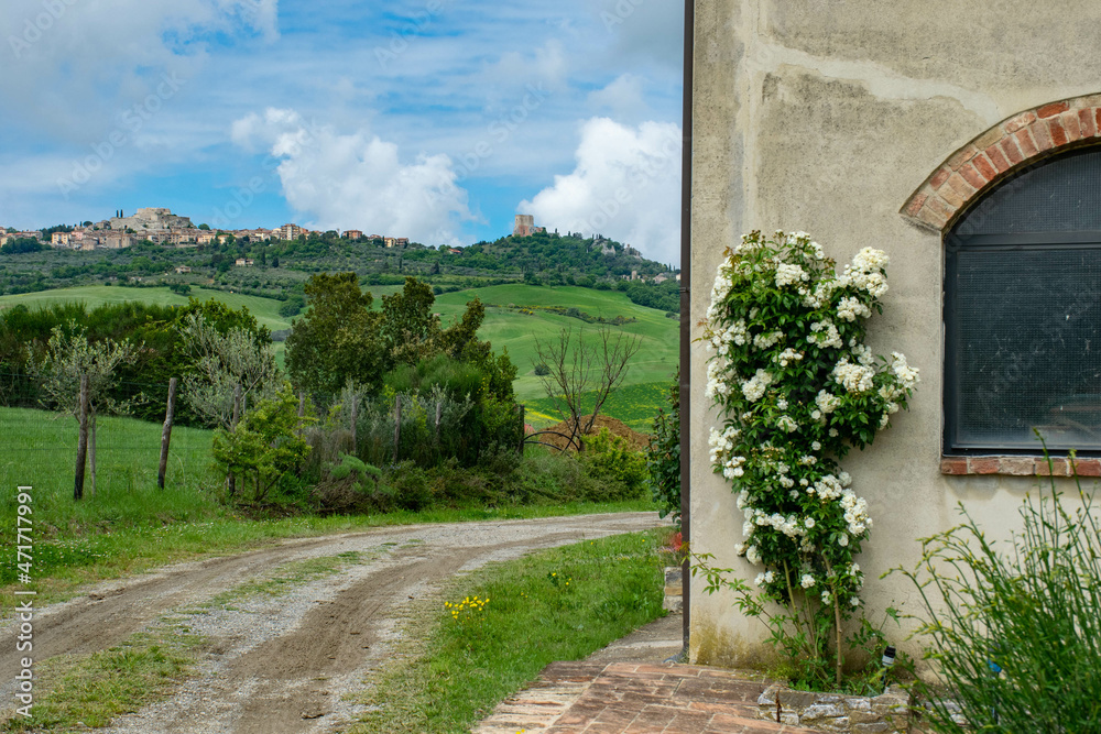 Tuscany, italy, may 2018, the wall of the white house is entwined with roses against the backdrop of a green valley and a city on top of a hill in the distance