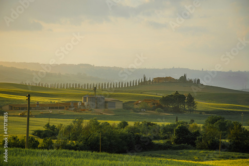 Tuscany, Italy, May 2018, sunset over a green valley, a cypress alley leads to a villa on top of a hill in the distance