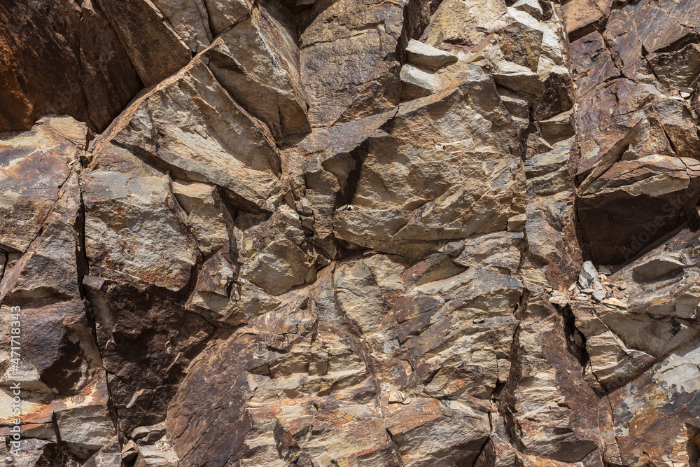 The stone surface as background.