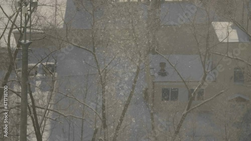 Snowflakes in sunlight. Snowfall in the city. Lighted snowflakes with city background. Snowflakes in sunny winter day.