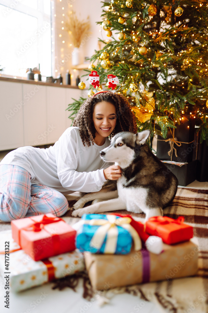 Happy woman celebrating winter holidays with a dog Husky on the background of the Christmas tree. New year. Christmas surprise.