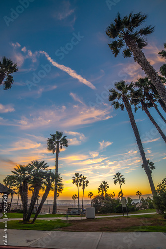 Palm trees by the sea in world famous Santa Monica shore at sunset