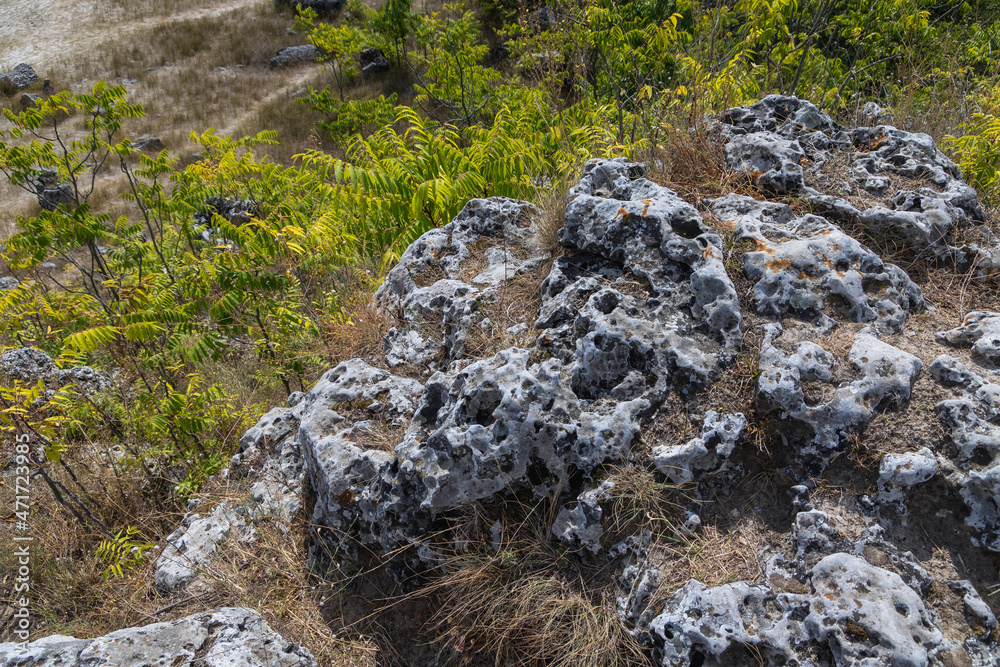Close up on a rock in Pobiti Kamani - natural phenomenon called Stone Forest, Bulgaria
